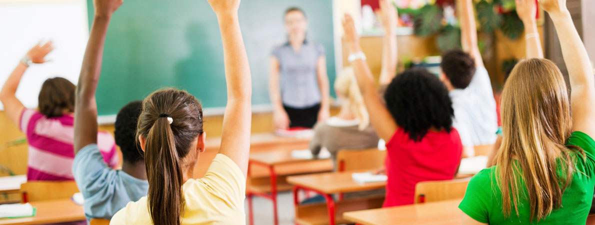 让您更安心的自动攻击网站工具下载